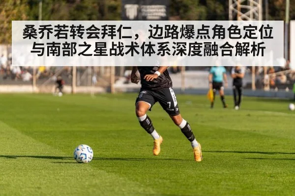桑乔若转会拜仁，边路爆点角色定位与南部之星战术体系深度融合解析 - ayx