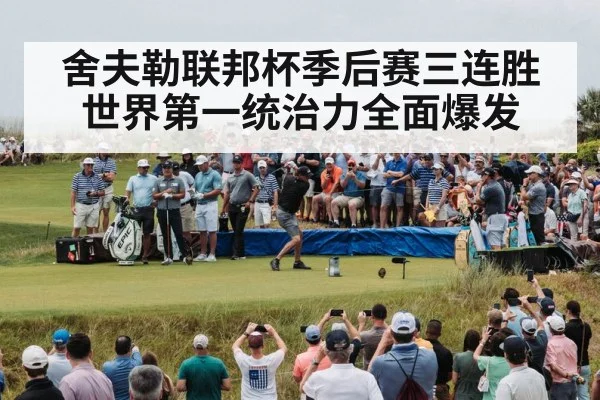舍夫勒联邦杯季后赛三连胜 世界第一统治力全面爆发 - ayx