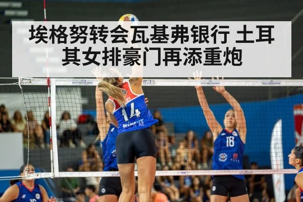 women's volleyball match