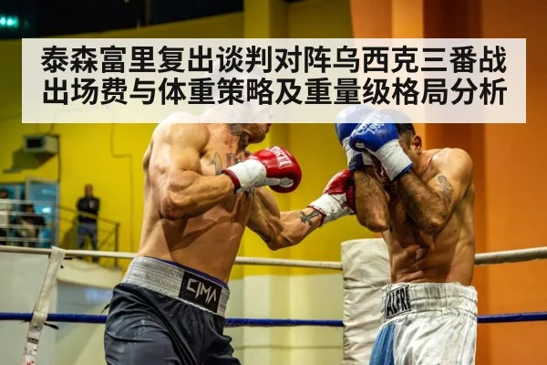 泰森富里复出谈判对阵乌西克三番战出场费与体重策略及重量级格局分析 | AYX SPORTS