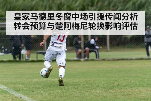 皇家马德里冬窗中场引援传闻分析 转会预算与楚阿梅尼轮换影响评估 - ayx