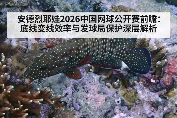 安德烈耶娃2026中国网球公开赛前瞻：底线变线效率与发球局保护深层解析 - ayx